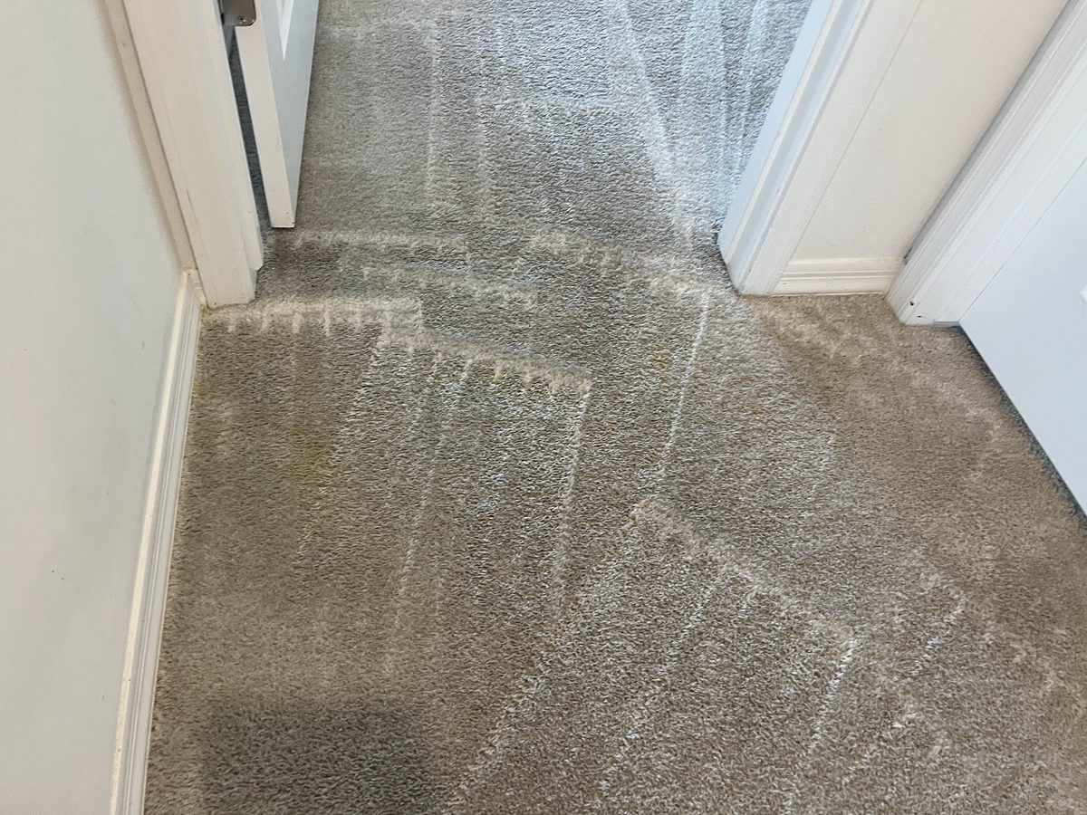 Freshly cleaned hallway carpet with visible grooming lines, cleaned by Fusion Carpet Cleaning in Phoenix, AZ