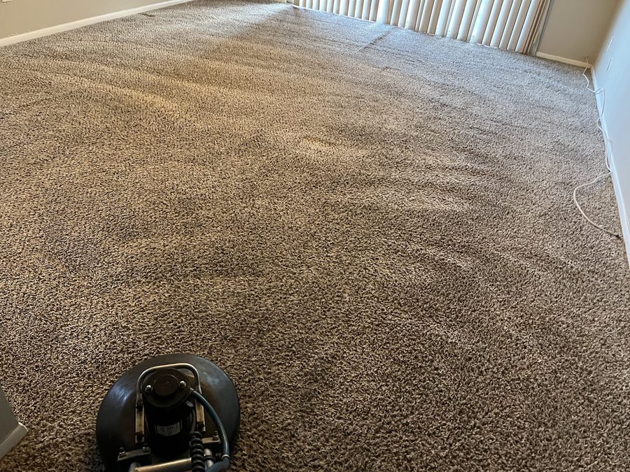 Carpet mid-clean with a Fusion Carpet Cleaning wand