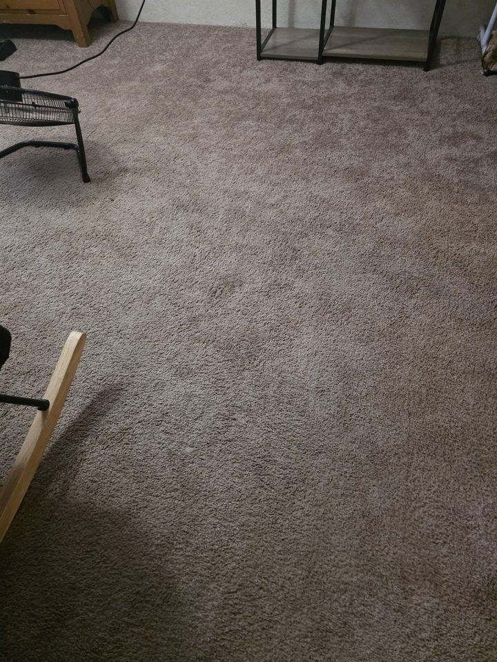 Freshly cleaned living room carpet